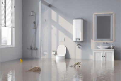 Water Damage Assessment & Inspection